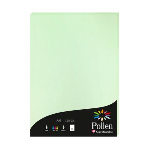 Papier Pollen Clairefontaine - 50 feuilles A4 - 120 g - vert