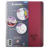 Cahier 17x22 cm Clairefontaine Linicolor evolutiv'book - 180 pages - petits carreaux 