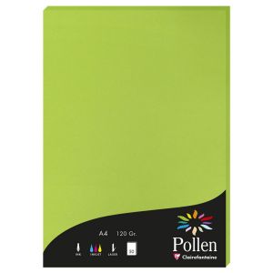 Papier Pollen Clairefontaine - 50 feuilles A4 - 120 g - vert menthe