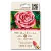 6 Pastels à l'Huile Sennelier - Rose en fleur