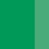 Gouache Extra-Fine Lefranc-Bourgeois - 14ml - vert japonais clair