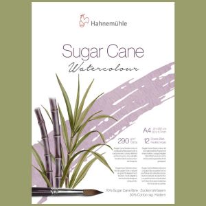 Bloc Papier Sugar Cane Hahnemühle - A4 - 12f - 290g