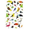 Stickers Cooky Maildor - oiseaux tropicaux