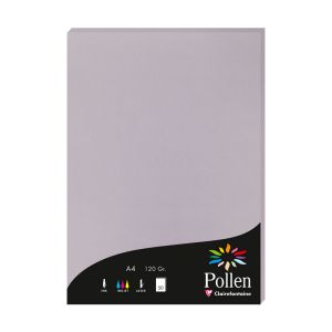 Papier Pollen Clairefontaine - 50 feuilles A4 - 120 g - gris koala