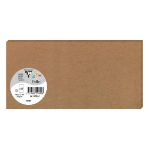 25 Cartes Pollen Clairefontaine - 106x213 mm - kraft