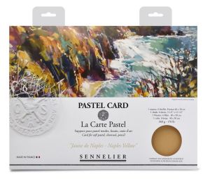 Papier Pour Pastel Sennelier - Pastel Card - 6 feuilles 40x30 cm - jaune de Naples