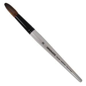 Pinceau Daler-Rowney Graduate lavis rond n°30