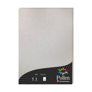 Papier Pollen Clairefontaine - 50 feuilles A4 - 120 g - argent