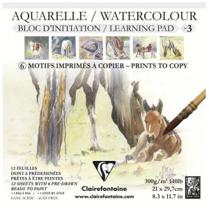 Bloc Aquarelle Prédessiné Clairefontaine n°3 - 21x21 cm - 12 feuilles - 300g