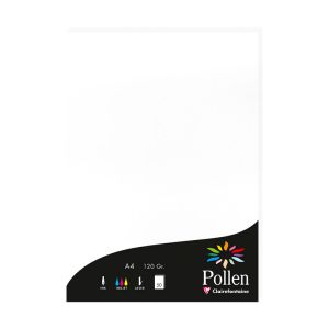 Papier Pollen Clairefontaine - 50 feuilles A4 - 120 g - blanc
