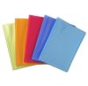 Protge-documents Exacompta Linicolor - 60 vues - couleur alatoire acidule