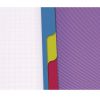 Cahier A4 Clairefontaine Linicolor evolutiv'book - 240 pages - petits carreaux 